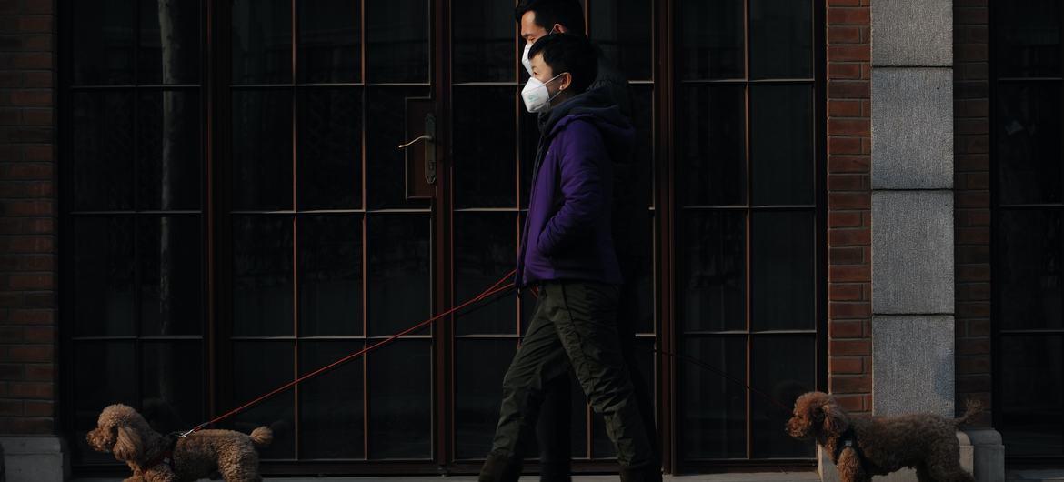 Na China, dois pedestres passeiam com seus cachorros durante a pandemia de Covid-19 em janeiro de 2021