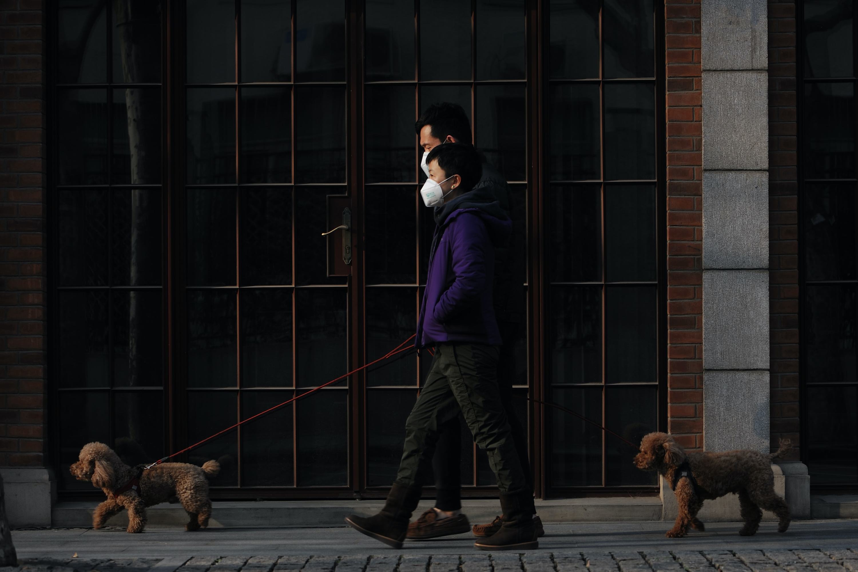 من الأرشيف: في شنغهاي الصينية، شخصان يمشيان كلبيهما خلال جائحة كوفيد-19 في كانون الثاني / يناير 2021.