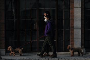 Na China, dois pedestres passeiam com seus cachorros durante a pandemia de Covid-19 em janeiro de 2021