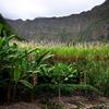 Projeto de resiliência climática da ONU em Santo Antão, Cabo Verde