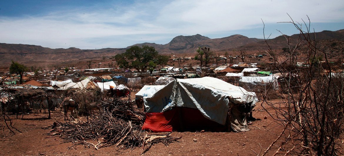 Intercommunal violence in Darfur has left millions in need of assistance. Pictured here, an IDP settlement in north Darfur. (file)