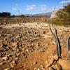 Un paisaje seco y árido en Cabo Verde, que muestra un campo de tierra agrietada con mangueras de riego negras y algunos edificios dispersos bajo un cielo azul.