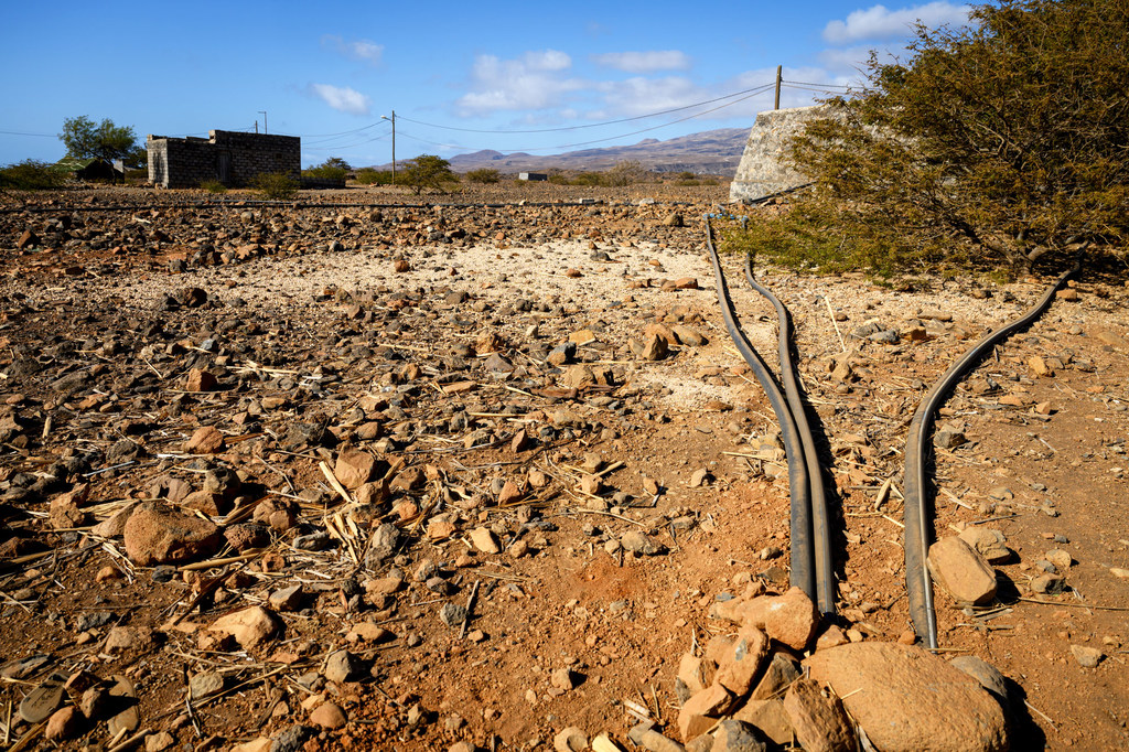 联合国支持的项目包括干旱地区的滴灌系统。