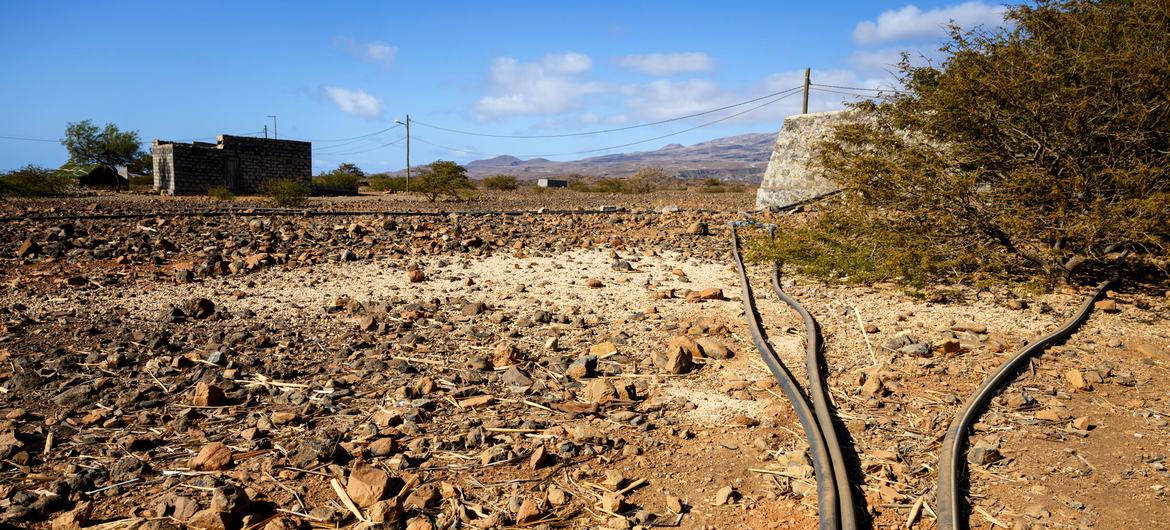 Un paisaje seco y árido en Cabo Verde, que muestra un campo de tierra agrietada con mangueras de riego negras y algunos edificios dispersos bajo un cielo azul.
