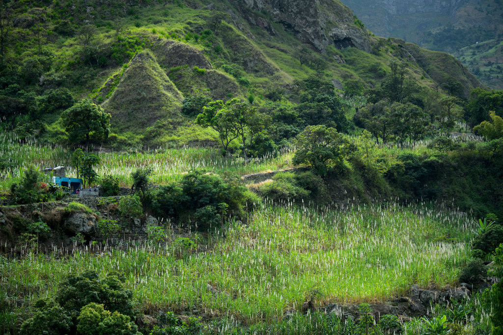 Santo Antão, una de las islas más verdes y montañosas de Cabo Verde, acoge varios proyectos de resiliencia climática y desarrollo sostenible del sistema de las Naciones Unidas.