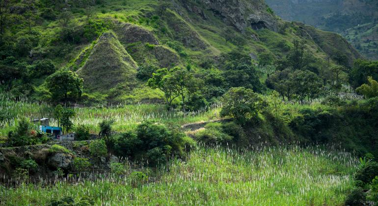Santo Antão, one of the greenest and most mountainous islands of Cape Verde, is host to several UN system climate resilience and sustainable development projects.