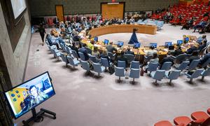 Maria Isabel Salvador (on screen), Special Representative of the Secretary-General for Haiti, briefs the Security Council.