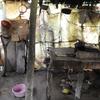 La cocina de una vivienda rural improvisada en el norte de Colombia, una región profundamente afectada por la pobreza. (archivo)