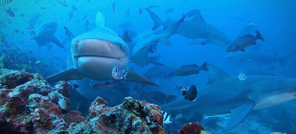 media:entermedia_image:be43367e-81e2-4b2f-8789-074c6d8a8740