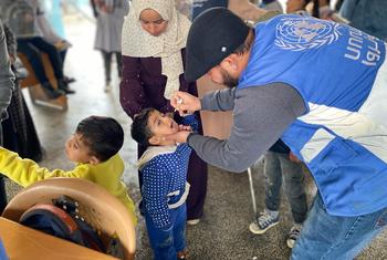 دير البلح، وسط غزة: منظمات الأمم المتحدة تشارك في حملة تطعيم واسعة النطاق في قطاع غزة تقودها وزارة الصحة الفلسطينية، ضد شلل الأطفال لتحصين 600 ألف طفل تحت سن العاشرة بأنحاء القطاع.