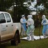 坦桑尼亚确认该国首次出现马尔堡病毒病病例。