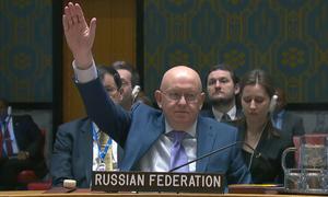 俄罗斯常驻联合国代表涅边贾行使否决权。