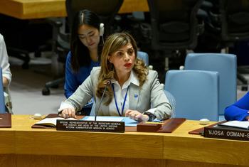 Каролин Зиаде в Совбезе.