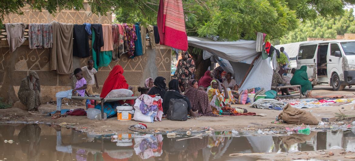 Familias desplazadas por la violencia en el estado de Sennar, en el sureste de Sudán, se refugian en Kassala, otro estado sudanés.