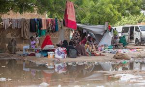 Familias desplazadas por la violencia en el estado de Sennar, en el sureste de Sudán, se refugian en Kassala, otro estado sudanés.