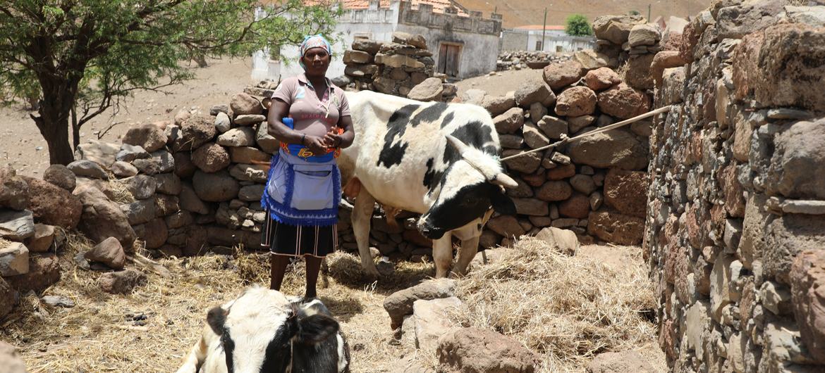 Cabo Verde enfrenta níveis recordes de insegurança alimentar em consequência da seca, da COVID-19 e da crise na Ucrânia