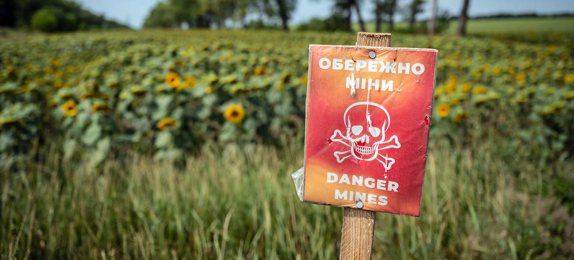 Farming land in Ukraine has been contaminated by land mines and other ordinance.