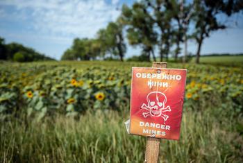 Les terres agricoles en Ukraine ont été contaminées par des mines terrestres et d'autres munitions.