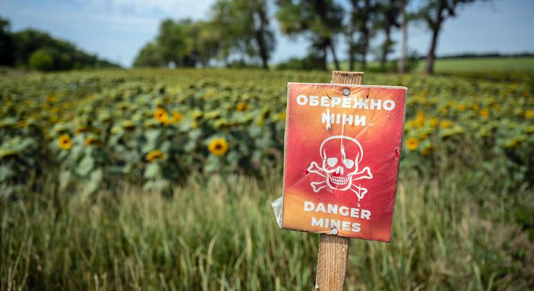 Ajanslar, Ukrayna’daki tarım arazilerini geri almak için mayın temizleyicilerle güçlerini birleştiriyor

 Nguncel.com