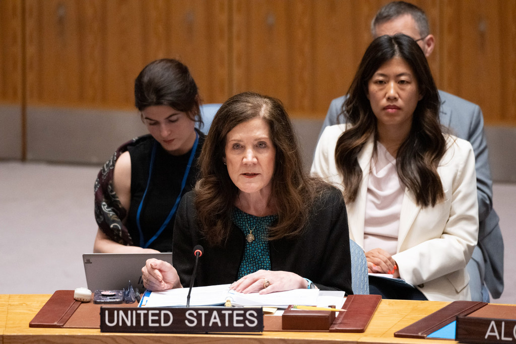 美国常驻联合国代理代表谢伊在安理会伊朗问题紧急会议上发言。