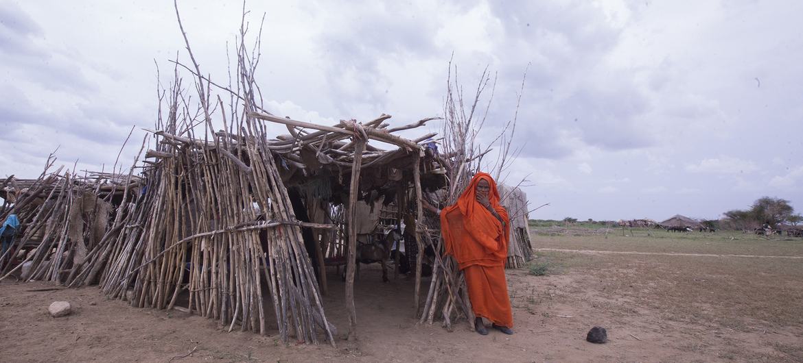 Un nombre record de 11,7 millions de personnes, soit près d'un quart de la population soudanaise, devrait être confronté à une famine aiguë au plus fort de la période de soudure en septembre.