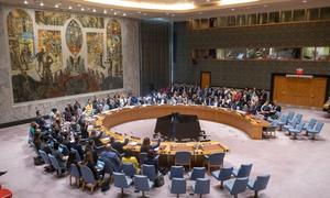 Security Council members vote in favour of the draft resolution.