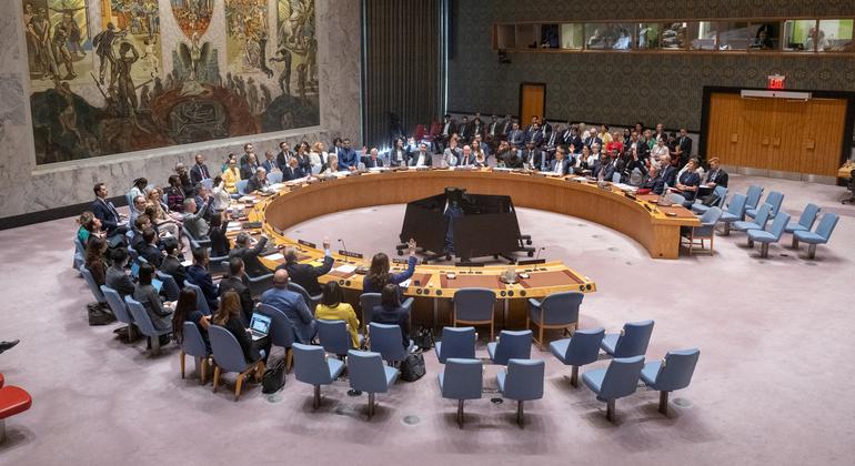 UN Security Council Meeting