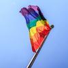 Un drapeau arc-en-ciel, symbole de la fierté LGBTQ+, flotte au vent sur un mât, se détachant sur un ciel bleu parsemé de quelques nuages.