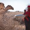 Une mère a peur de perdre davantage de bétail dans les mois à venir à cause de la sécheresse dans la région Somali, en Ethiopie.
