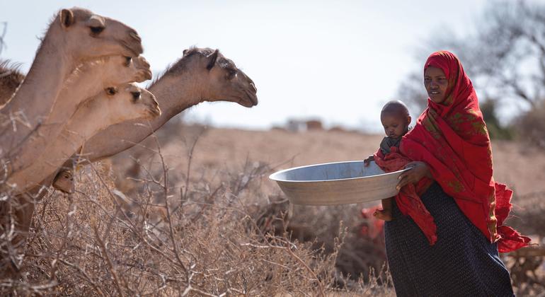 أم لستة أطفال تخشى أن تفقد المزيد من الماشية في الأشهر المقبلة بسبب الجفاف في المنطقة الصومالية بإثيوبيا.