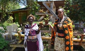 Caroline Leboo(kulia) na Josephine Kasoo wanachama wa kikundi cha wanawake cha Nabulu Mukuri wakionesha mmea wa shubiri