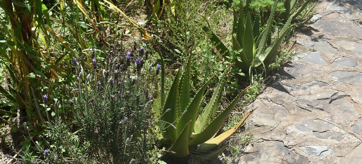 media:entermedia_image:a46c6998-51c7-4c7b-b765-ad54a6f09c82