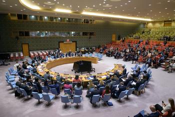 Заседание Совета Безопасности ООН.