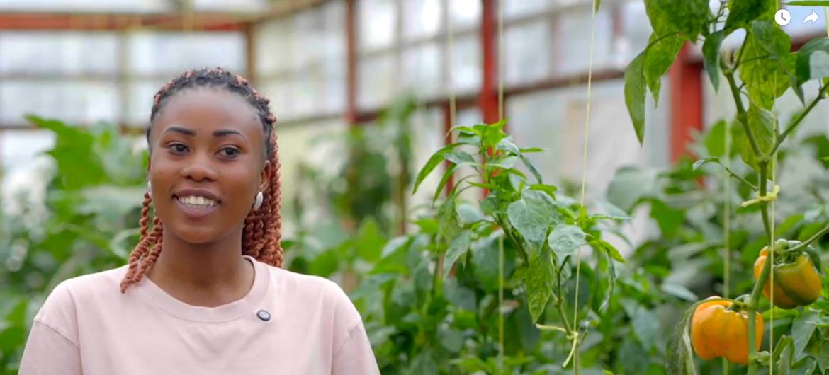 media:entermedia_image:bfc17a8e-b481-47c1-9032-277a55be8e06