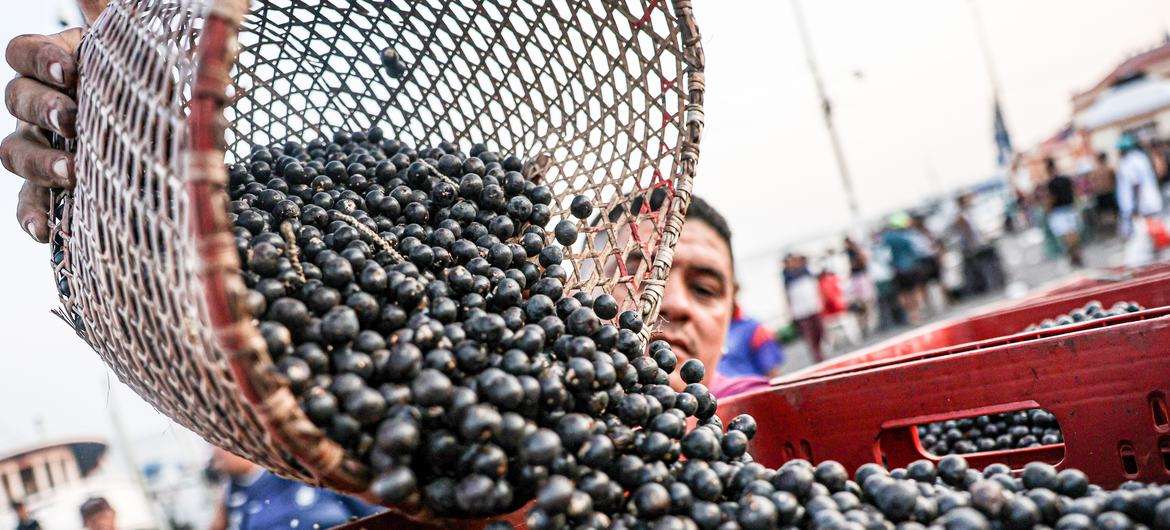 Movimento na madrugada do mercado de açaí e peixe do Ver-o-Peso, considerado o maior mercado livre da América Latina, que fica em Belém, Pará.