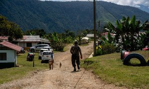 Vista general del campamento de Llano Grande que sirve de reincorporación de excombatientes de las FARC-EP.