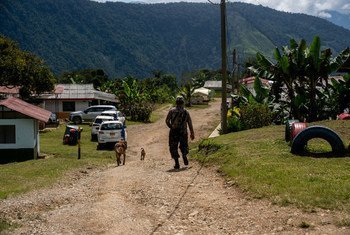 Los ciudadanos colombianos, en su mayoría exmilitares, se encuentran entre los más solicitados para desempeñar funciones en el sector de la seguridad y en conflictos armados.