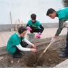 При поддержке ЮНИСЕФ молодые экоактивисты в Таджикистане занимаются озеленением своего района.
