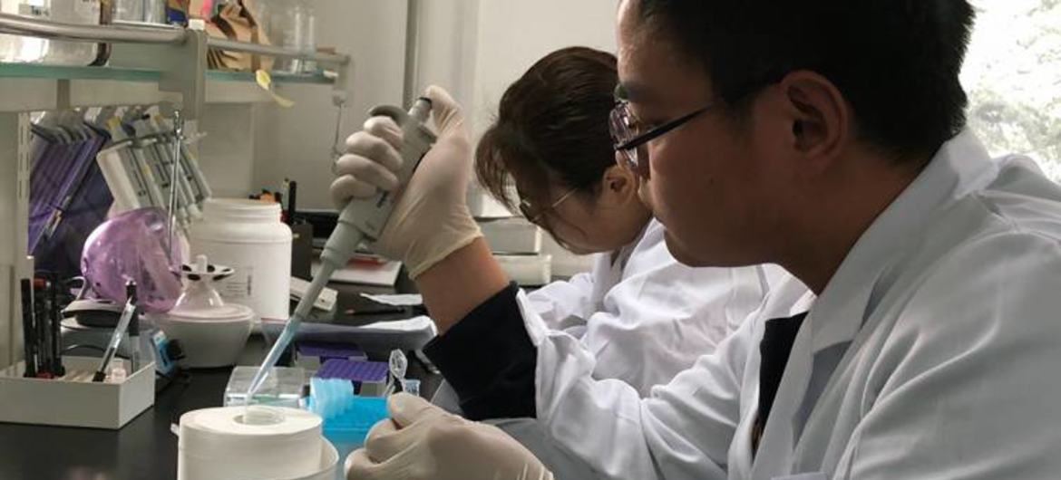 中国农业科学院的研究广泛使用核技术。在照片中，一名实验室技术人员正在准备食品样本进行安全检测。