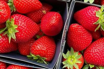 Рацион здоровой пищи должен включать в себя овощи, ягоды и фрукты. 