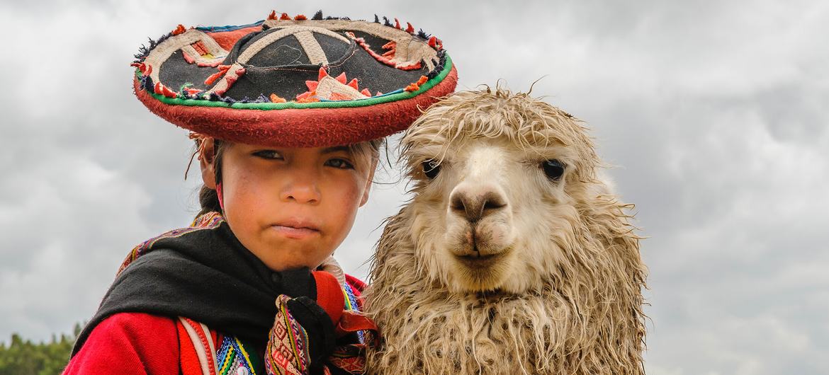 Menina com uma alpaca em Cusco, nos Andes peruanos.