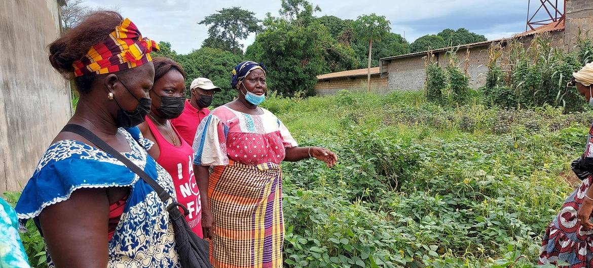 Os pilares do programa são apoiar a produção agrícola e a segurança alimentar das comunidades mais vulneráveis