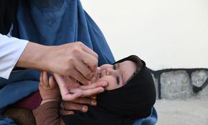 In southern Afghanistan, a baby receives a polio vaccine at the Mir Bazar Clinic.