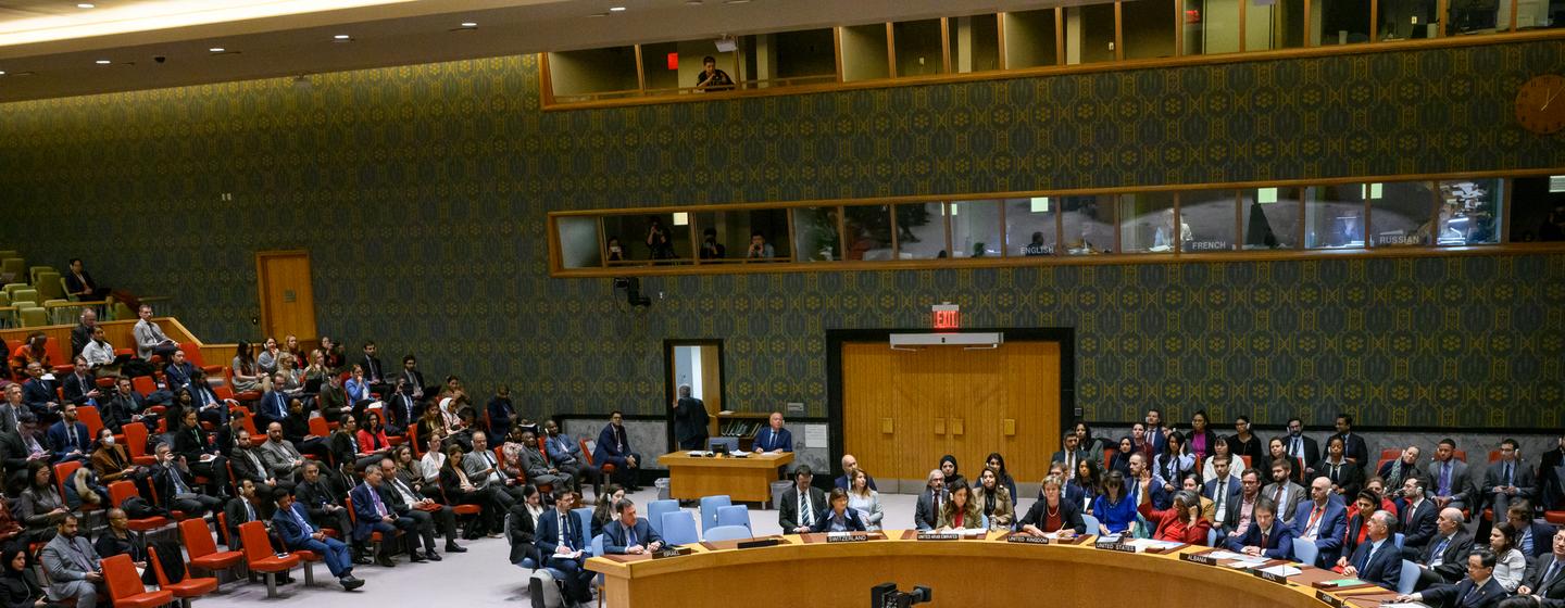 联合国安理会通过了一份由阿联酋提出的决议草案。