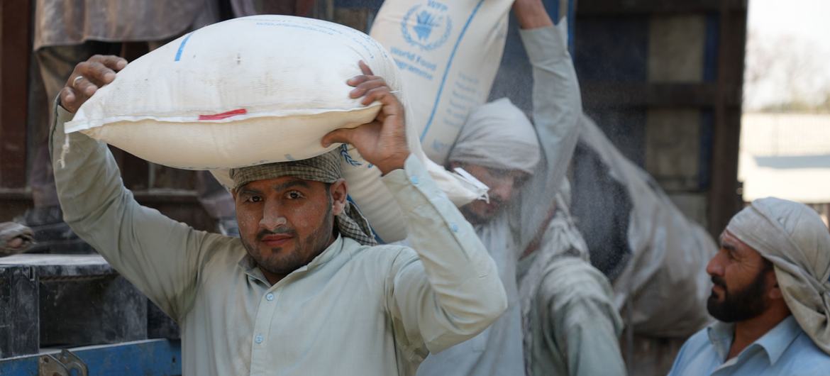 在阿富汗贾拉拉巴德，粮食计划署提供的谷物正在一个仓库卸货。