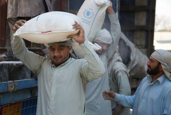 افغانستان کو عالمی ادارہِ خوراک کی طرف سے فراہم کی گئی گندم جلال آباد میں اتاری جا رہی ہے۔