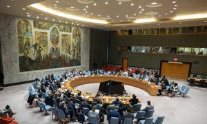A wide view of the UN Security Council in session. (file photo) 