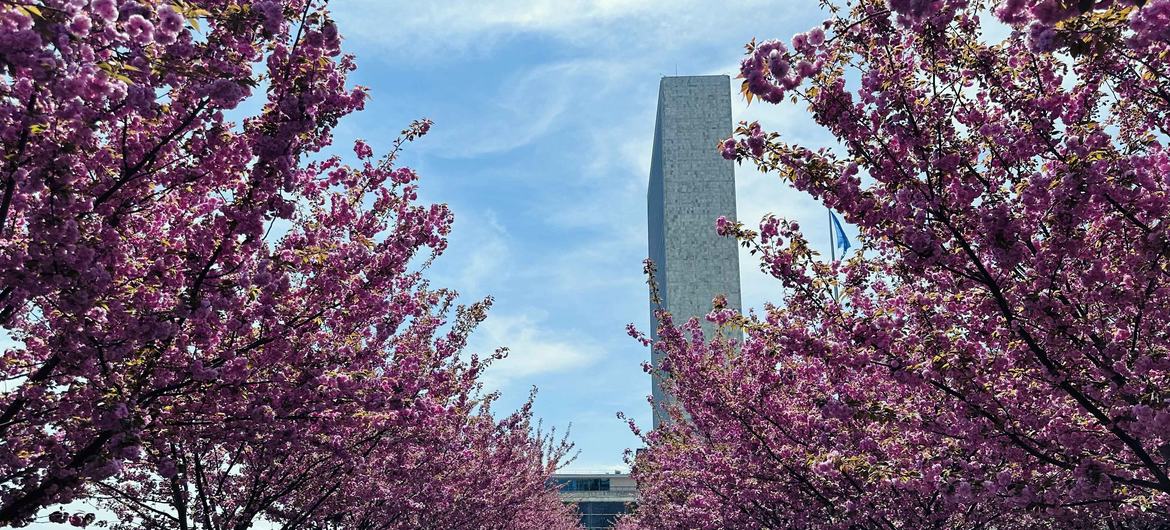 media:entermedia_image:50b0bc60-a286-43f0-a726-c8a4bfdbd42d