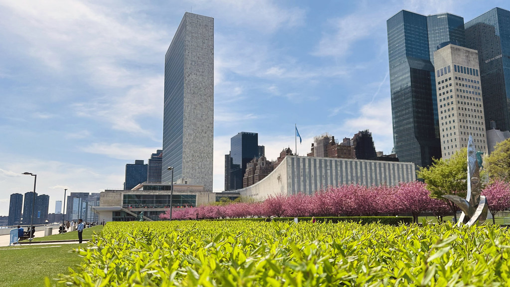 Jengo la Makao Makuu ya Umoja wa Mataifa huko New York City, linapotazamwa kutoka kwenye bustani yenye miti ya maua ya cherry inayopua.
