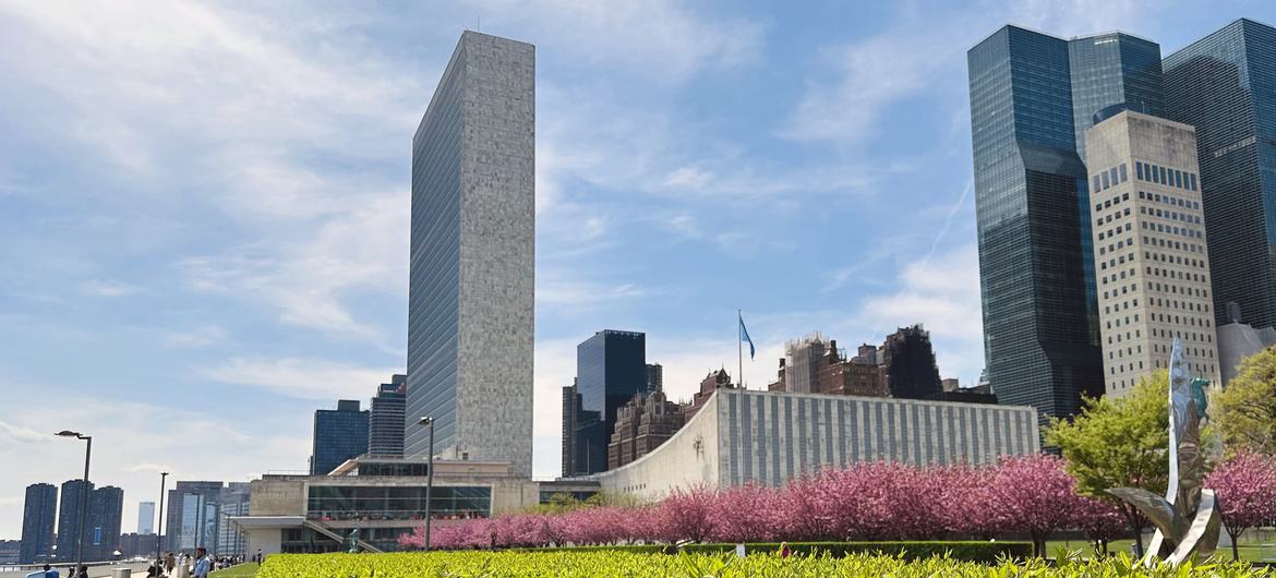 The UN Secretariat building in spring.   